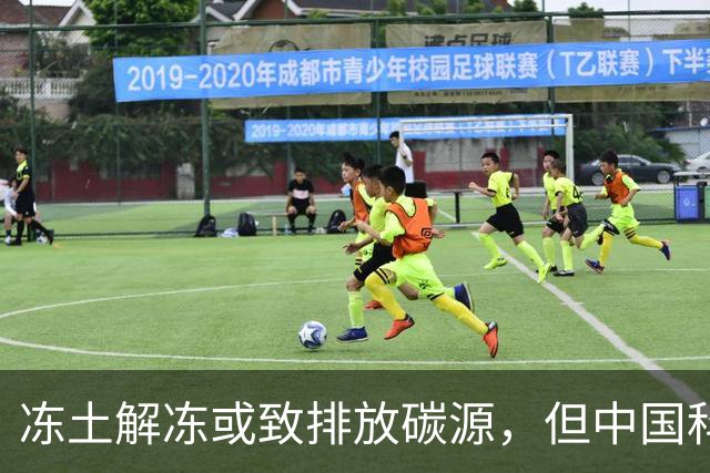 冻土解冻或致排放碳源，但中国科研发现岩石能吸收部分碳