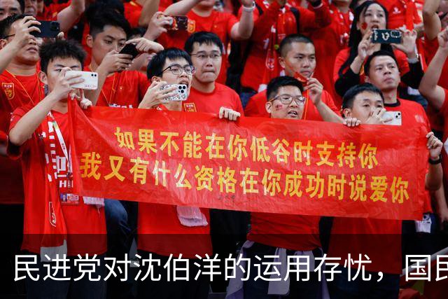 民进党对沈伯洋的运用存忧，国民党反击激发选民情绪